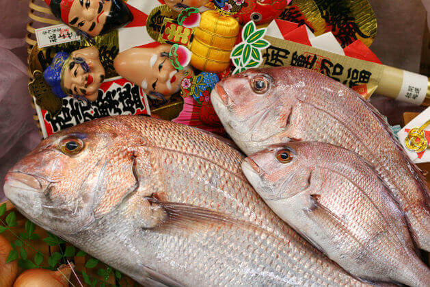 鯛の種類 | お食い初め鯛の通販は魚幸 スマートフォンサイト